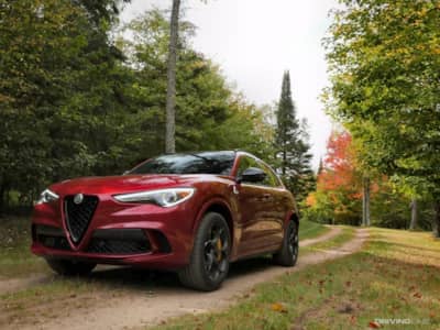 Fragrant Athletic Mince 2019 Alfa Romeo Stelvio Quadrifoglio Review | DrivingLine
